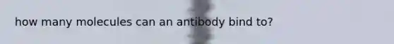 how many molecules can an antibody bind to?