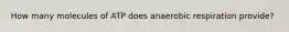 How many molecules of ATP does anaerobic respiration provide?