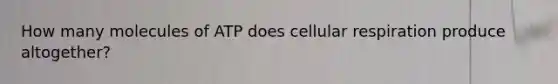 How many molecules of ATP does cellular respiration produce altogether?