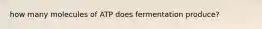 how many molecules of ATP does fermentation produce?