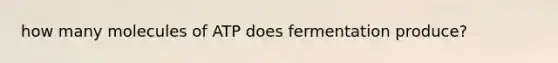 how many molecules of ATP does fermentation produce?