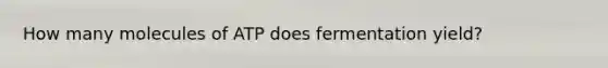 How many molecules of ATP does fermentation yield?