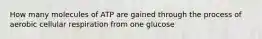 How many molecules of ATP are gained through the process of aerobic cellular respiration from one glucose