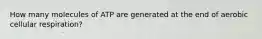 How many molecules of ATP are generated at the end of aerobic cellular respiration?