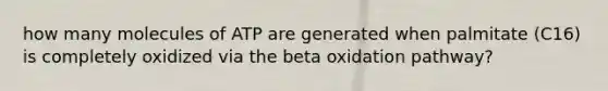 how many molecules of ATP are generated when palmitate (C16) is completely oxidized via the beta oxidation pathway?