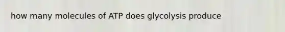 how many molecules of ATP does glycolysis produce