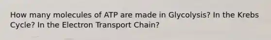 How many molecules of ATP are made in Glycolysis? In the Krebs Cycle? In the Electron Transport Chain?