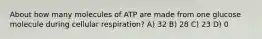 About how many molecules of ATP are made from one glucose molecule during cellular respiration? A) 32 B) 28 C) 23 D) 0