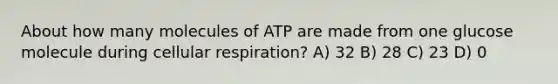 About how many molecules of ATP are made from one glucose molecule during cellular respiration? A) 32 B) 28 C) 23 D) 0