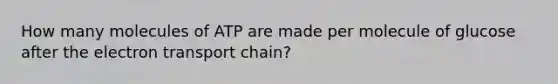 How many molecules of ATP are made per molecule of glucose after the electron transport chain?