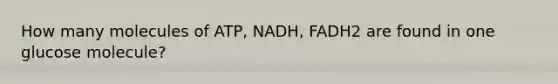 How many molecules of ATP, NADH, FADH2 are found in one glucose molecule?