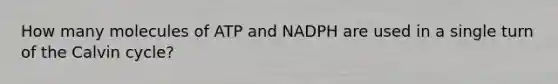 How many molecules of ATP and NADPH are used in a single turn of the Calvin cycle?