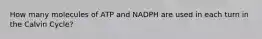 How many molecules of ATP and NADPH are used in each turn in the Calvin Cycle?