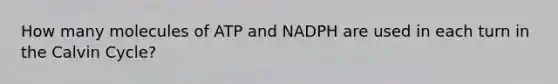 How many molecules of ATP and NADPH are used in each turn in the Calvin Cycle?