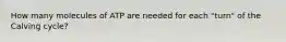How many molecules of ATP are needed for each "turn" of the Calving cycle?