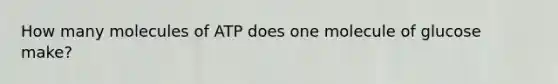 How many molecules of ATP does one molecule of glucose make?