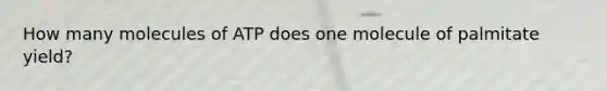 How many molecules of ATP does one molecule of palmitate yield?