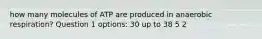 how many molecules of ATP are produced in anaerobic respiration? Question 1 options: 30 up to 38 5 2