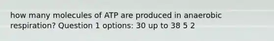 how many molecules of ATP are produced in anaerobic respiration? Question 1 options: 30 up to 38 5 2