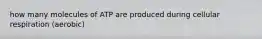 how many molecules of ATP are produced during cellular respiration (aerobic)