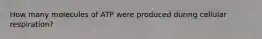 How many molecules of ATP were produced during cellular respiration?