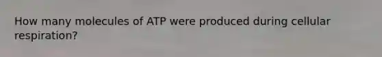 How many molecules of ATP were produced during cellular respiration?