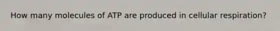 How many molecules of ATP are produced in cellular respiration?