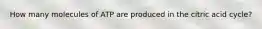 How many molecules of ATP are produced in the citric acid cycle?