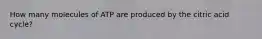 How many molecules of ATP are produced by the citric acid cycle?