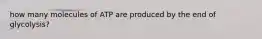 how many molecules of ATP are produced by the end of glycolysis?