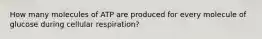 How many molecules of ATP are produced for every molecule of glucose during cellular respiration?