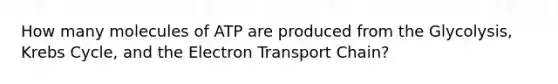 How many molecules of ATP are produced from the Glycolysis, Krebs Cycle, and the Electron Transport Chain?