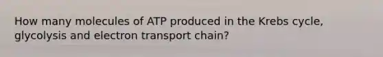 How many molecules of ATP produced in the Krebs cycle, glycolysis and electron transport chain?