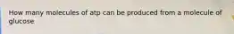 How many molecules of atp can be produced from a molecule of glucose