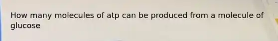 How many molecules of atp can be produced from a molecule of glucose