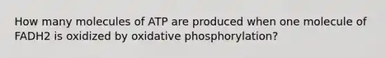 How many molecules of ATP are produced when one molecule of FADH2 is oxidized by oxidative phosphorylation?