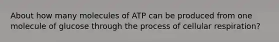 About how many molecules of ATP can be produced from one molecule of glucose through the process of cellular respiration?