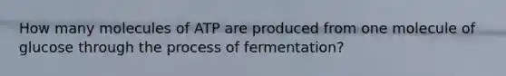 How many molecules of ATP are produced from one molecule of glucose through the process of fermentation?