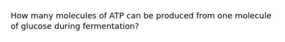 How many molecules of ATP can be produced from one molecule of glucose during fermentation?