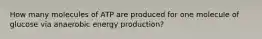 How many molecules of ATP are produced for one molecule of glucose via anaerobic energy production?