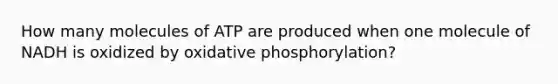 How many molecules of ATP are produced when one molecule of NADH is oxidized by oxidative phosphorylation?