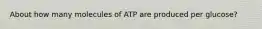 About how many molecules of ATP are produced per glucose?