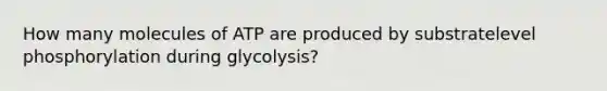 How many molecules of ATP are produced by substratelevel phosphorylation during glycolysis?