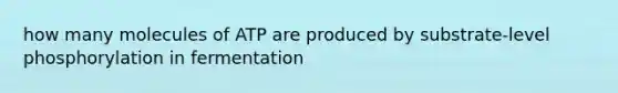 how many molecules of ATP are produced by substrate-level phosphorylation in fermentation