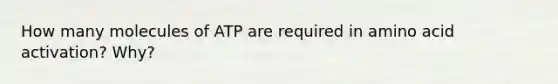 How many molecules of ATP are required in amino acid activation? Why?