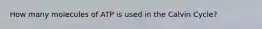 How many molecules of ATP is used in the Calvin Cycle?