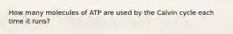How many molecules of ATP are used by the Calvin cycle each time it runs?