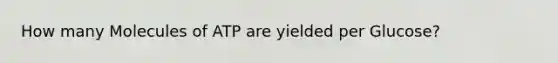 How many Molecules of ATP are yielded per Glucose?