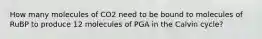 How many molecules of CO2 need to be bound to molecules of RuBP to produce 12 molecules of PGA in the Calvin cycle?