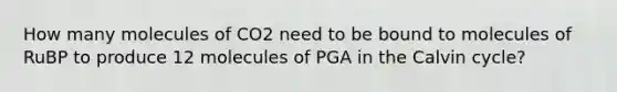 How many molecules of CO2 need to be bound to molecules of RuBP to produce 12 molecules of PGA in the Calvin cycle?